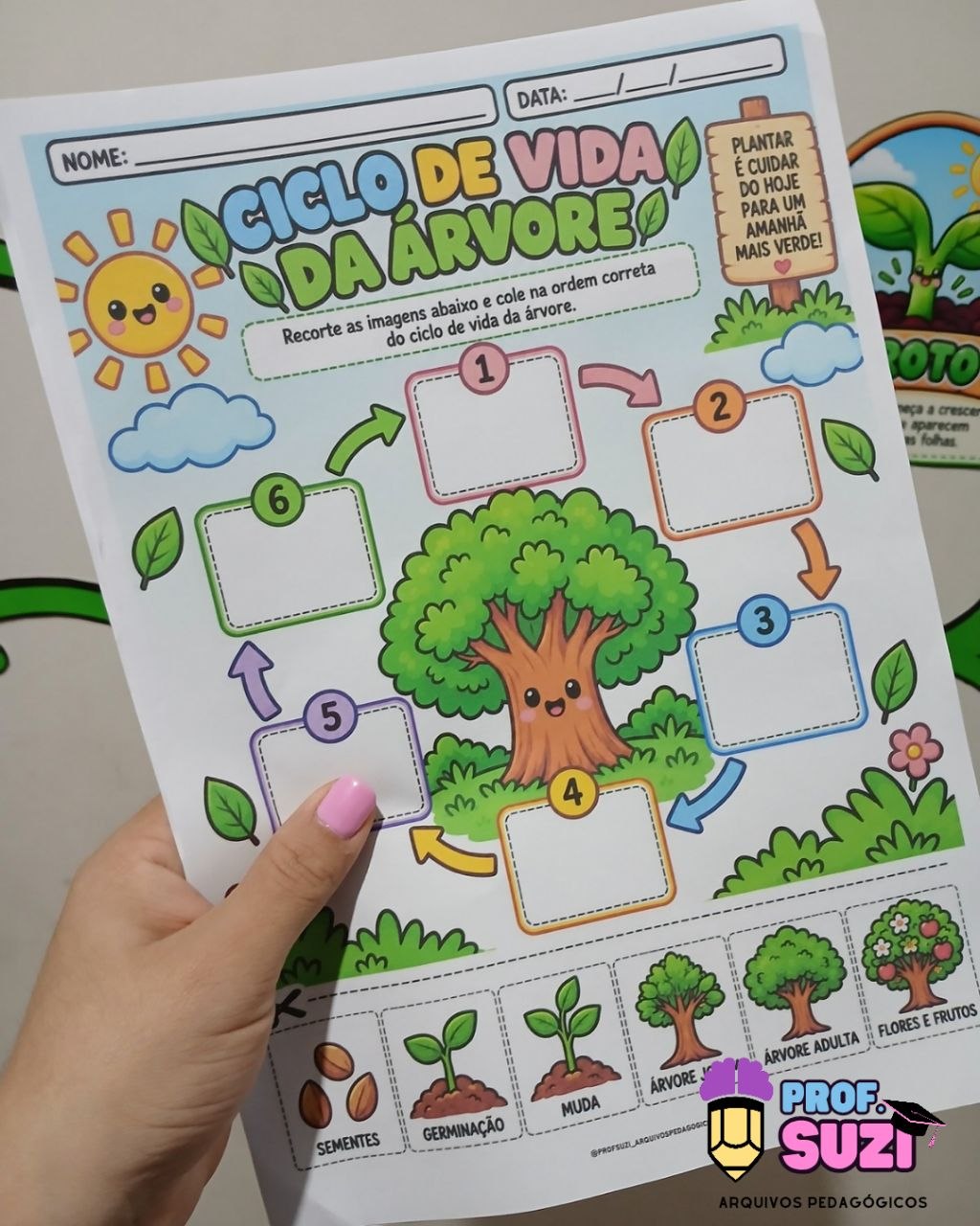 PAINEL CICLO DE VIDA DA ÁRVORE - Imagem 6