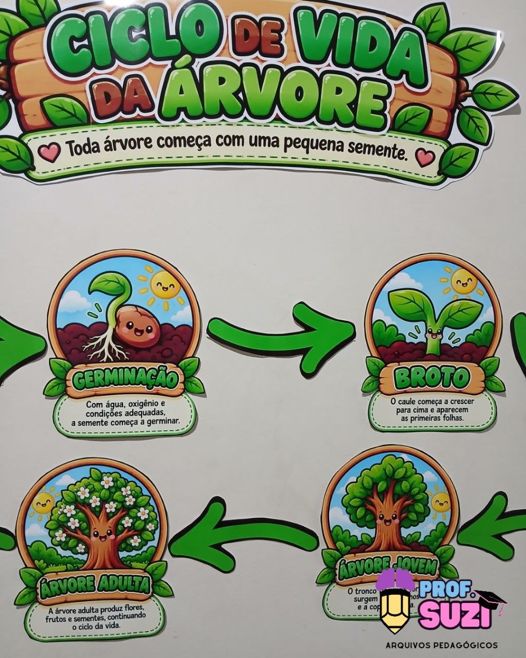 PAINEL CICLO DE VIDA DA ÁRVORE - Imagem 4