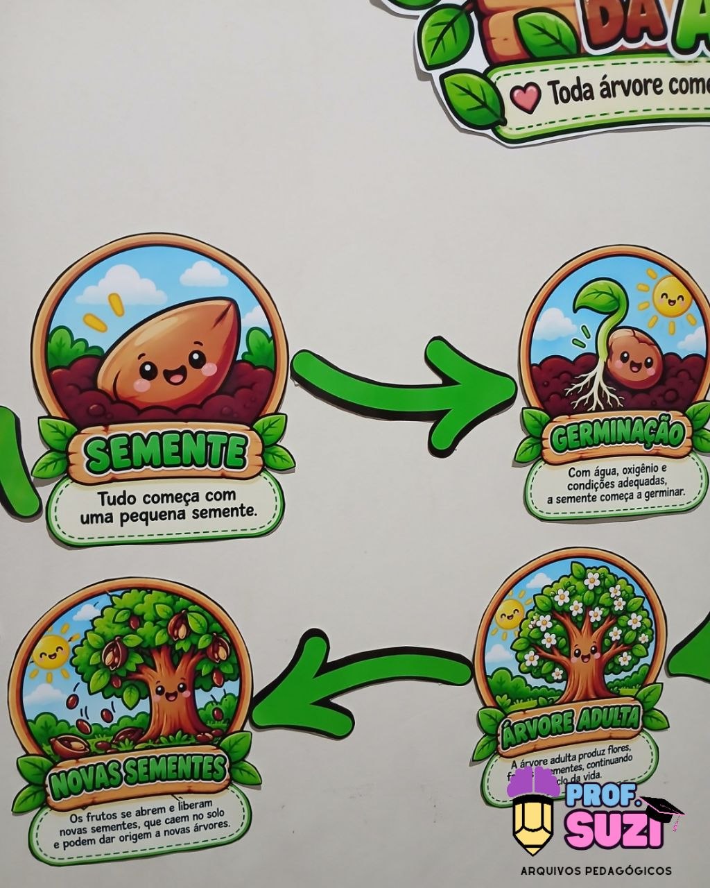 PAINEL CICLO DE VIDA DA ÁRVORE - Imagem 3